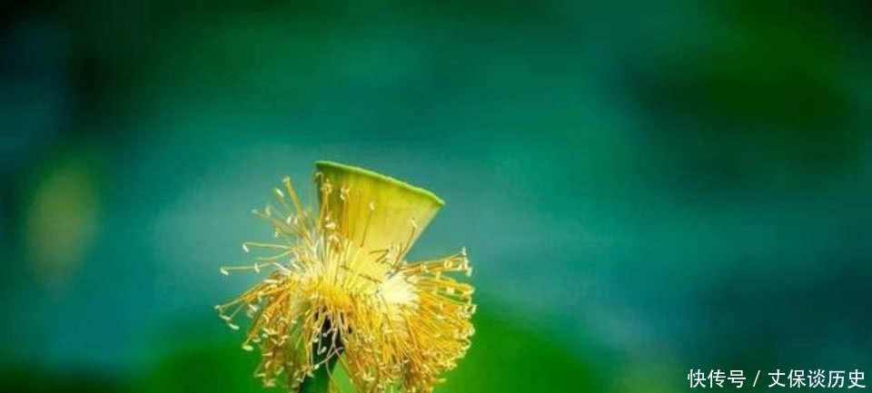 不去想|汪国真很感人的一首诗,写得很是真诚,犹如一盏灯照亮了远方的路