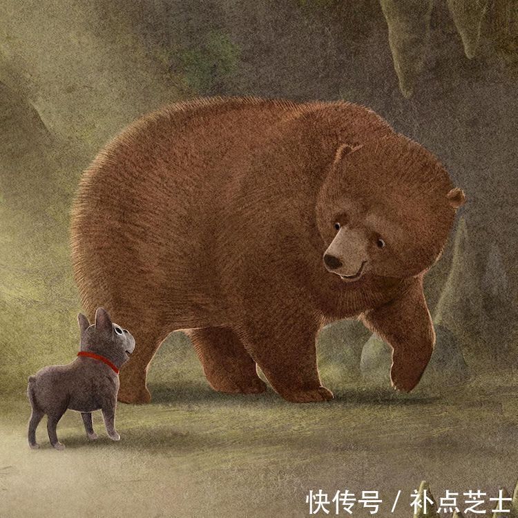 动物#萌翻的动物插画,艺术家用色彩讲述了小生命的甜蜜故事