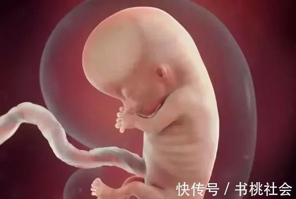 孕妈|子宫内胎儿0~40周,发育变化全过程,太神奇了!