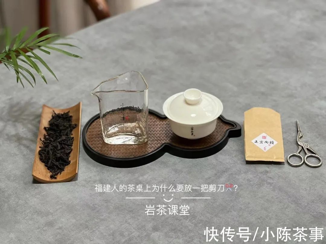 肉桂#30年前的岩茶是什么样的？从品种到火功，聊聊武夷岩茶的5大变化