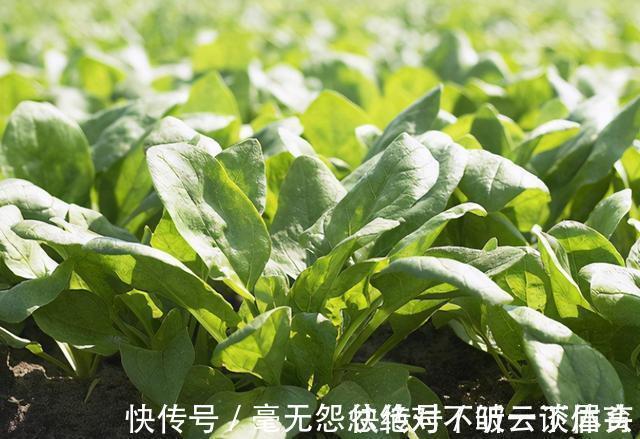 降压药|高血压就怕缺钾,若长期服用降压药,平时要多吃3种“高钾食物”