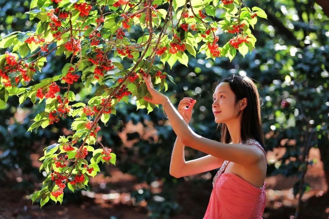 美好|阳光温暖，风也香甜，在凉山享受冬日小美好~