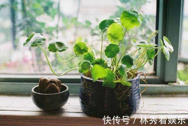 小技巧|让新家变美的6个软装小技巧，实用简单，从细节入手新家美翻天