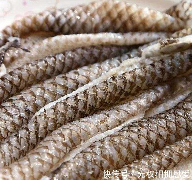 肠胃|想长寿先养胃,每天一点它,比小米粥还养胃,肠胃慢慢好起来