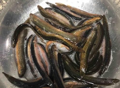  吃泥鳅到底要不要去内脏？很多人不懂，大厨：这才是正确的做法