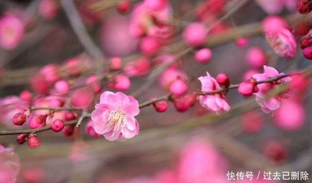 临事|临事须替别人想,论人先将自己想