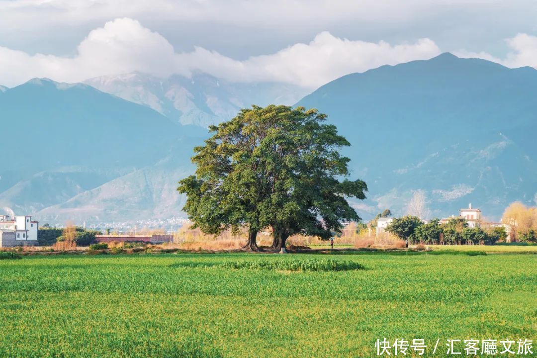 老年|带上这份7天攻略，去大理度个假吧！