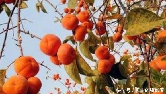 种天然|肠胃紊乱总是便秘,常吃2种天然“泻药”食物,能够润肠通道