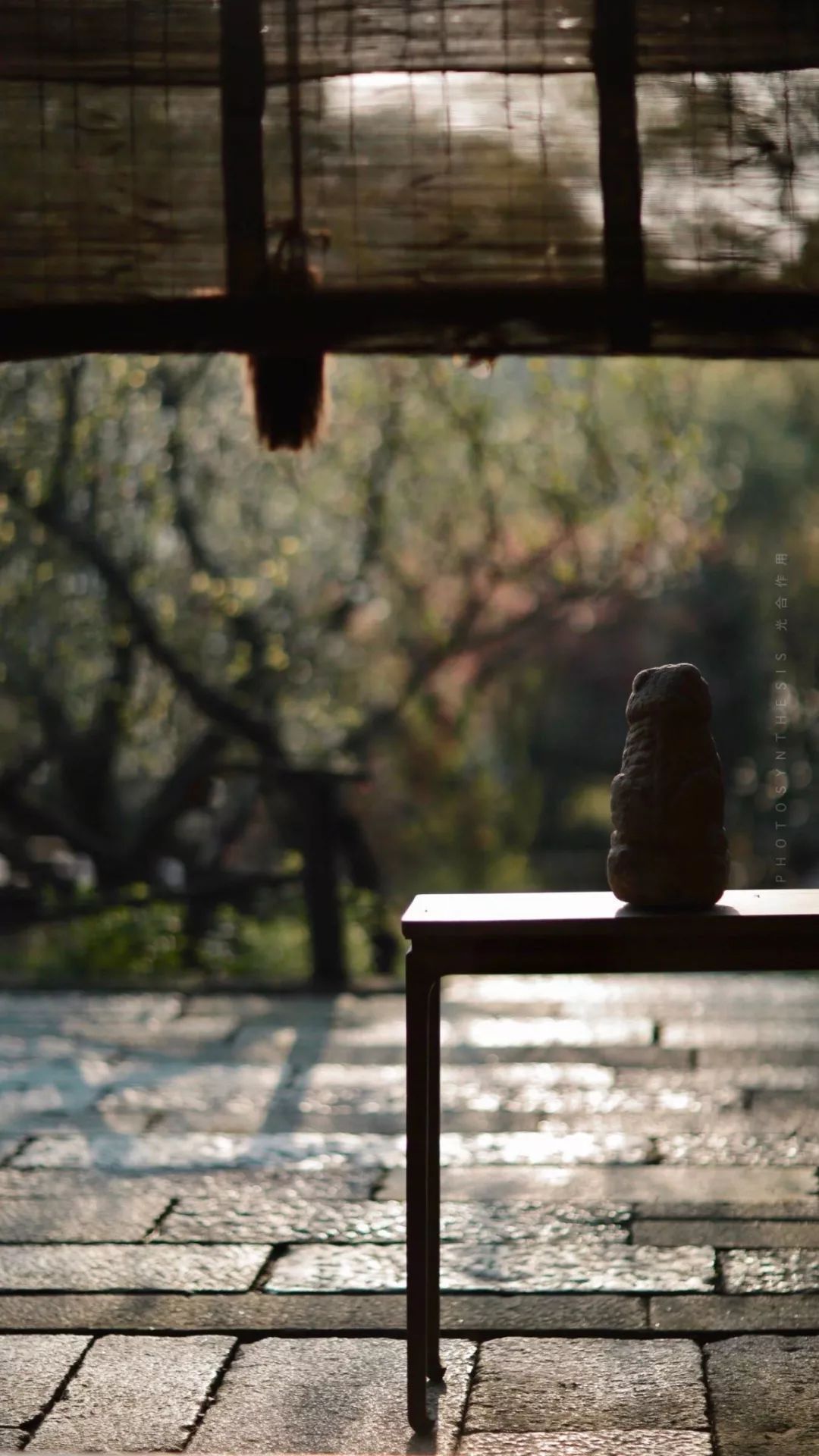 大道$守静去欲,见素抱朴