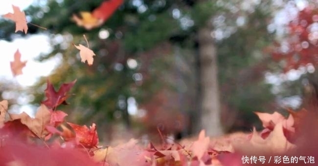 全诗|朱熹这首咏月诗丝毫不输李白,全诗无一“月”字,却处处有月意