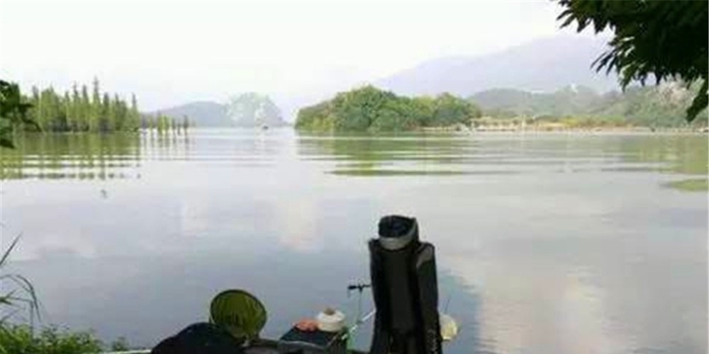 盛夏钓位深浅选择“绝招”：鱼“吃饭”时钓浅，鱼“休息”时钓深