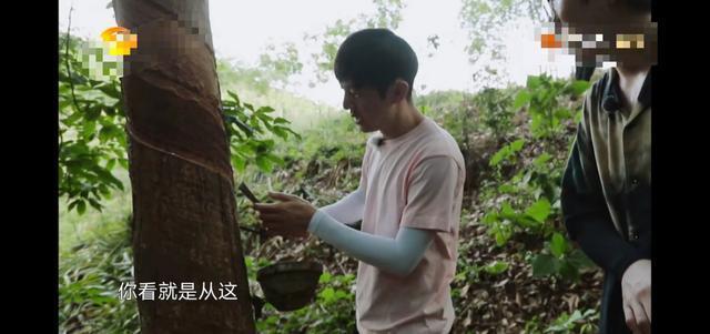 張紹剛|《向往4》終于請(qǐng)對(duì)了嘉賓全體動(dòng)員不尷尬，年齡代溝終于消失