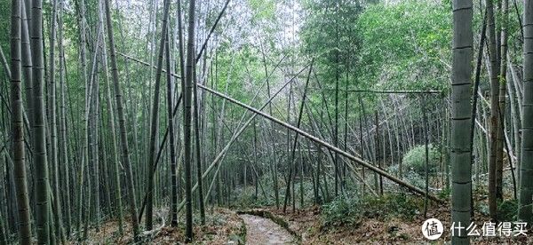 山阴道上行 如在画中游|旅行日志 篇一：绍兴 · 萧绍古道 | 中年