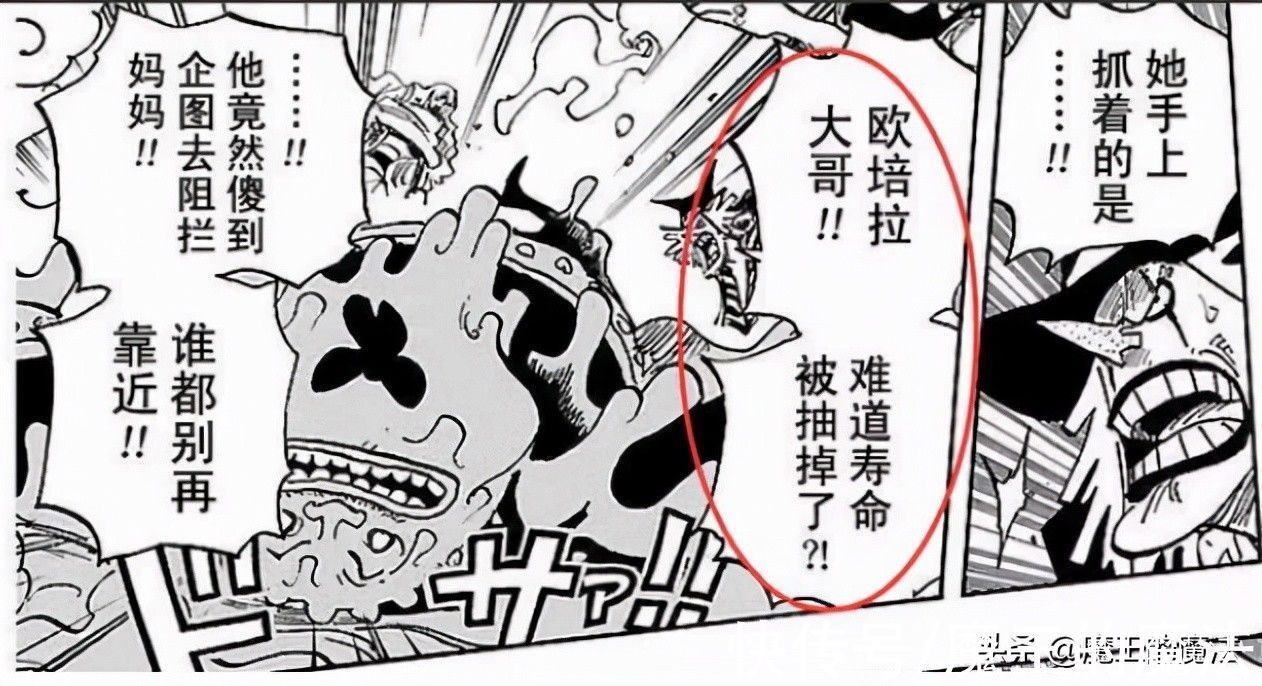 四皇|海贼王1031话分析：索隆占C位有含义，基德与罗威胁四皇体系