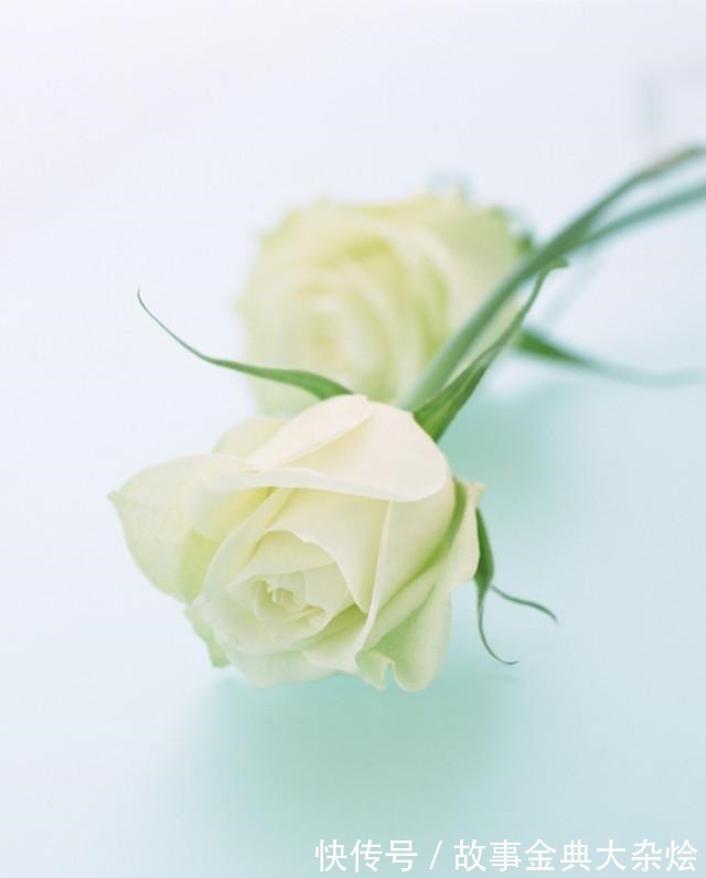 女主@安利五本文笔佳的暗恋小说,《年年年华》《时擦》