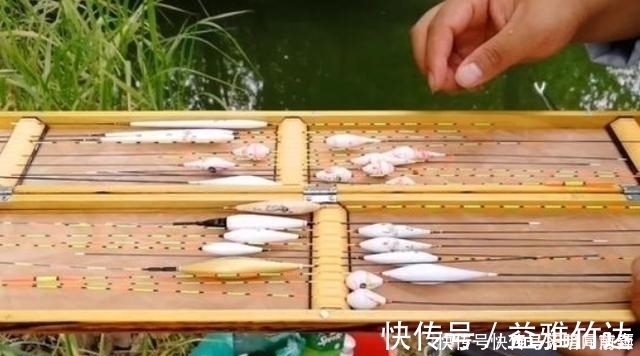 鲫鱼|六月了,板鲫“狡猾”又难钓,多亏二十年老司机指点才钓过了瘾