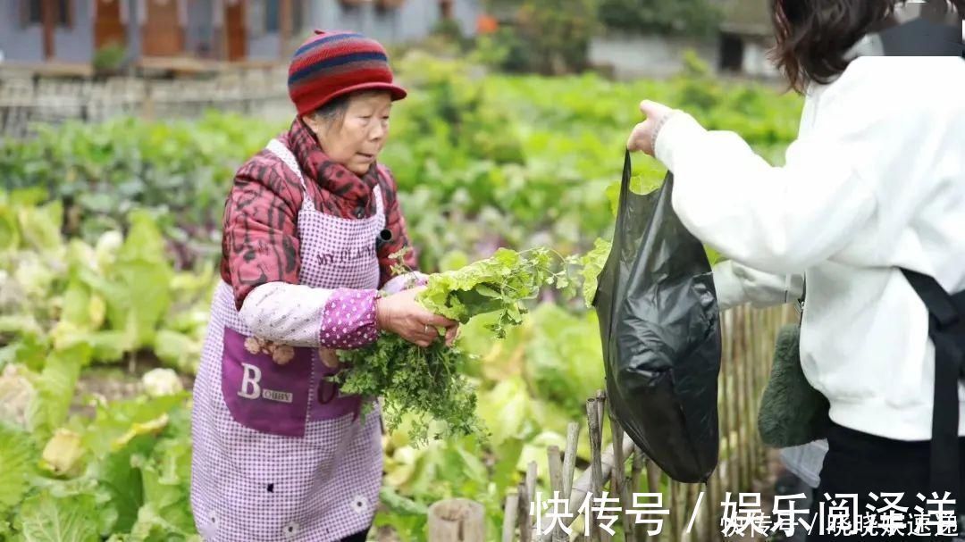 在乡下改造一个小院,种菜养花天天都是乡村田园梦,生活如此惬意