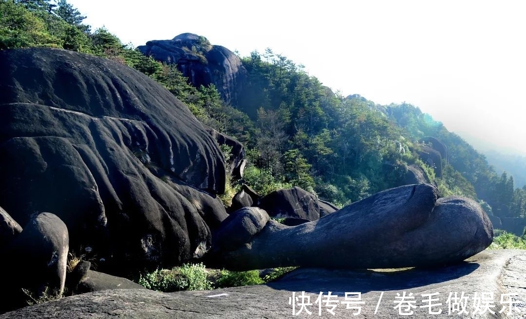 秋色|这几处温州秋日登高必去的山峰，每一寸秋色都很撩人！