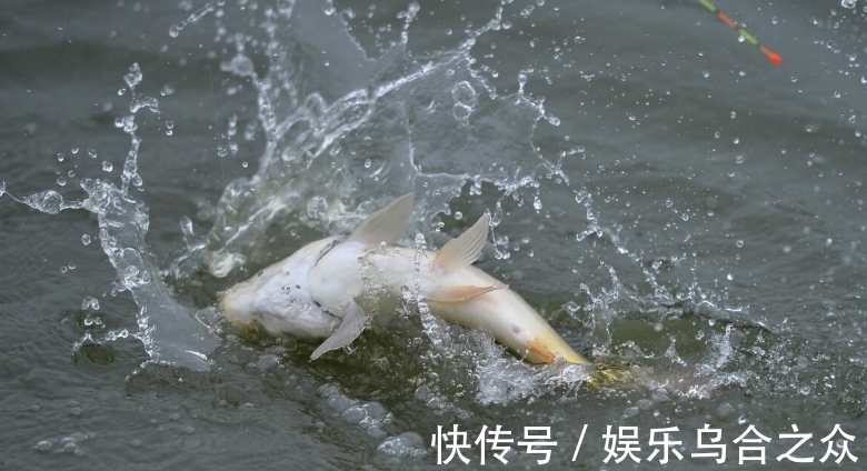 渔获少的原因终于找到了,多数是因为触犯了这6个垂钓禁忌