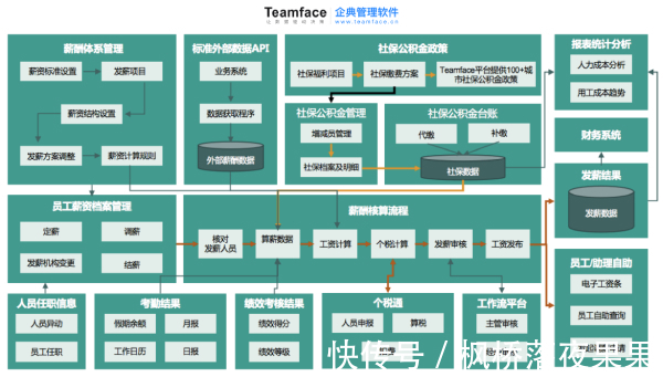 薪资|公司想采购人事薪资系统,是选标准化软件、还是定制开发(买断)?差别在哪?