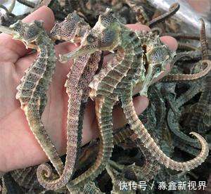 寄生虫|孕妇要拒绝的5种肉类,寄生虫感染最厉害,再嘴馋也要拒绝