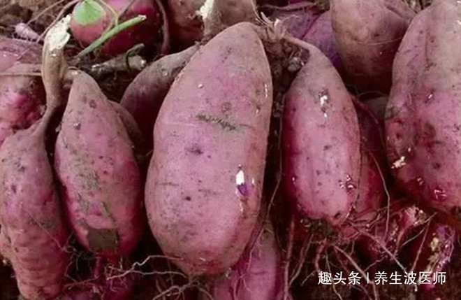 二氧化碳|91岁中医红薯要少吃,这类人尤其小心!吃红薯这5点一定要注意