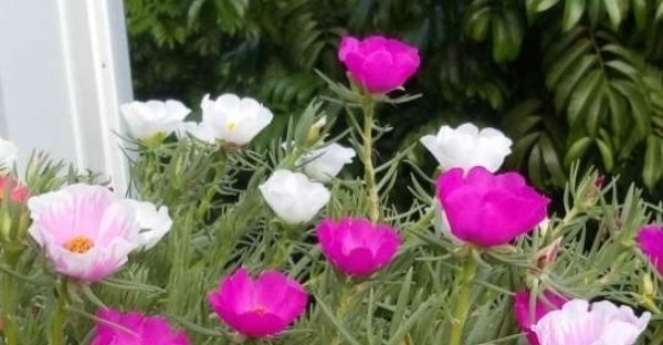 大事|日后能成大事的人,都具备这4大特征,尤其是最后一种最能成大事