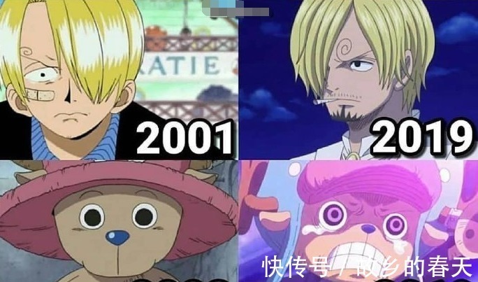 和之国|草帽团从初登场到和之国的变化,山治乔巴画风都变了,而索隆最惨