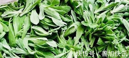 泡水|不想常生病,用此“祛湿王”泡水喝,排出身体毒素,身体更健康