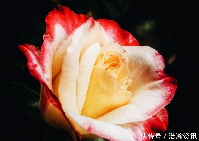 令人|李煜这首词写得如此悲伤,花间带雨如含泪,令人读来心已碎