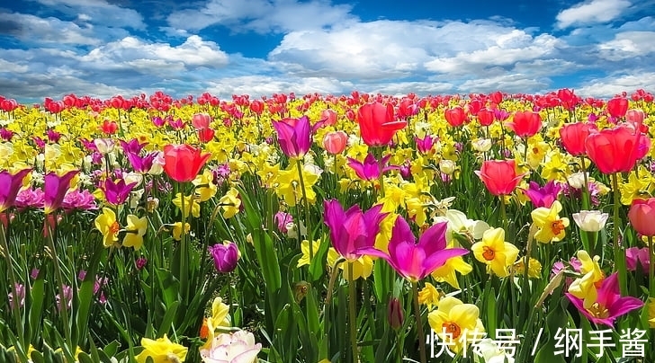 事业|1月中旬苦尽甘来,事业一路飞升,容易发财的3大生肖