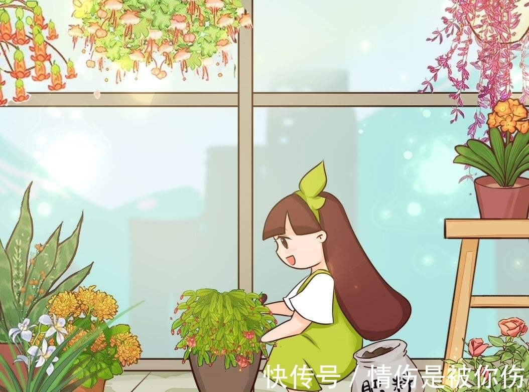 氮磷钾肥不用买,在家就能做,省钱效果好!