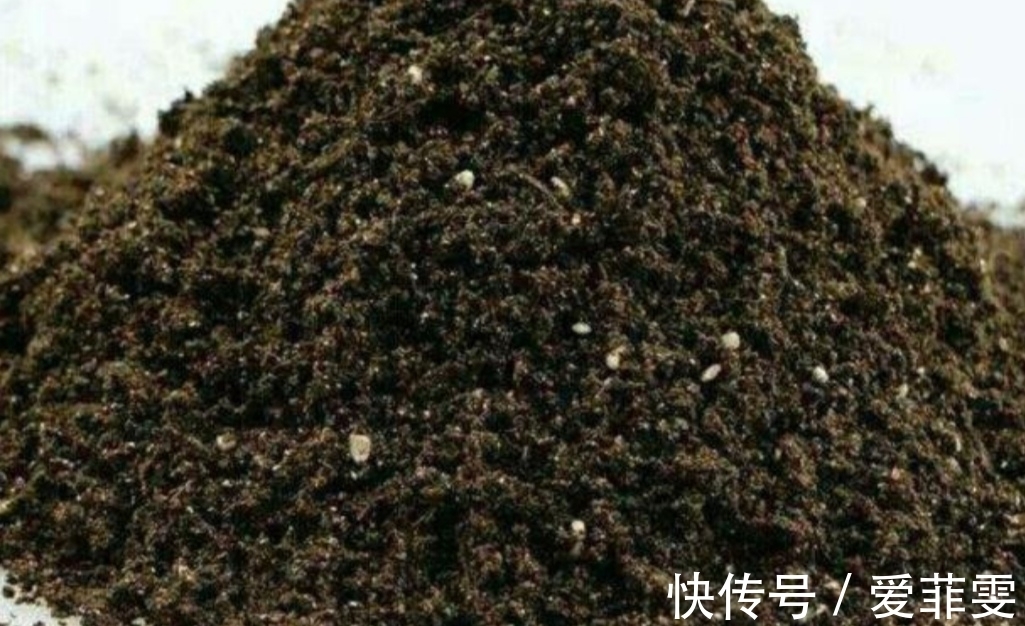在家自制营养土,松软透气养分足,轻松养好各种花