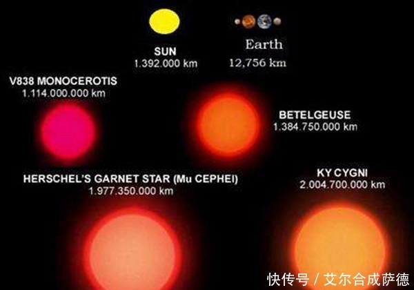 仙王座vv星有多大? 仙王座vv星具体构成