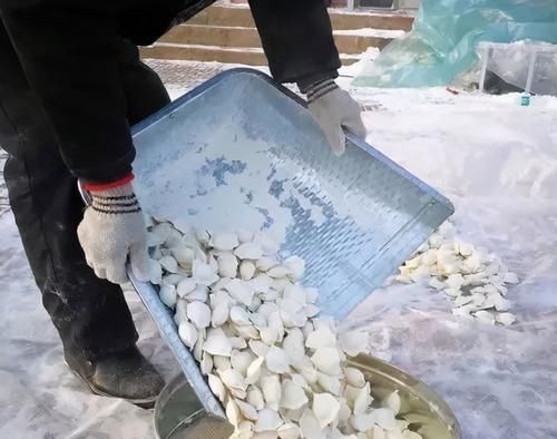 饺子包好,最忌直接放冰箱冻!做好2步,冻时不粘连,煮时不破皮