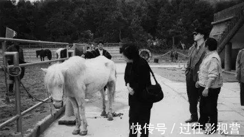 杨杰@在拍完《西游记》后,唐僧的白龙马下场让人叹息