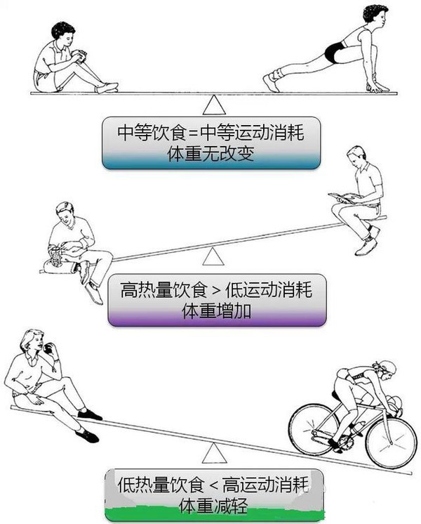 缺口|为什么少吃多动也不瘦减肥要从根源做起，8个建议让减肥更有效