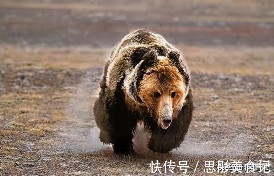 禁区|可可西里无人区有多恐怖？人类禁区，里面藏有哪些可怕生物？