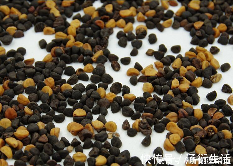 咳嗽|墙角不起眼的花,种子能治病腰疼、水肿、咳嗽用它就行