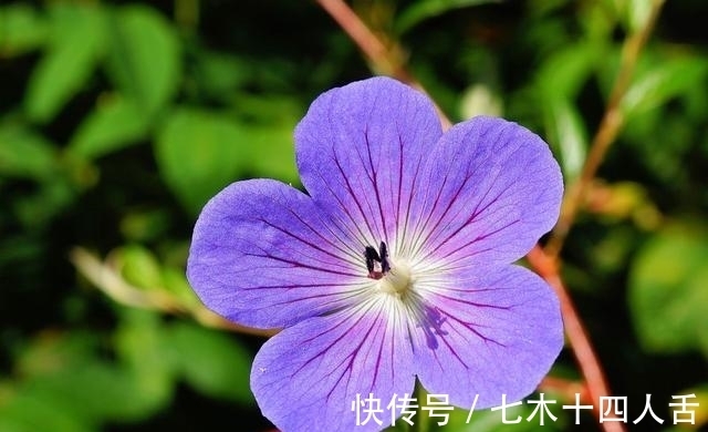 收集真实有效的民间偏方