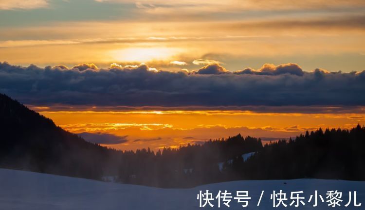 认知能力|眼光很高，格局很大的星座，智慧是一种手段，走到哪都发光发亮