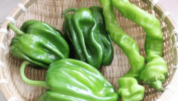  菜农|买青椒，怎么区分辣的和不辣的？菜农教您一招，以后别再乱买了