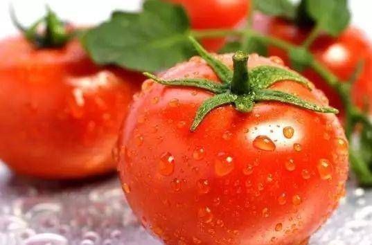 浇水|太神奇了!她在塑料瓶里种蔬菜,一年都吃不完!