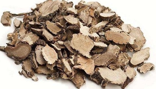 汇总|每天学一味中药汇总高血压、糖尿病、心脏病，中医都有什么药