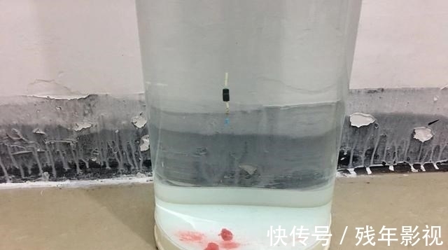 钓友|调4钓2到底还能不能行?怎么不行!别又陷入另一个误区