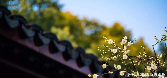 变得|“至乐无乐,至誉无誉”人一旦开始追求快乐,就会变得不快乐