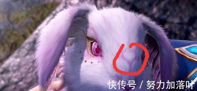 武魂殿|斗罗大陆小舞变成柔骨兔，头上竟隐藏着爱心，这是对唐三的爱！