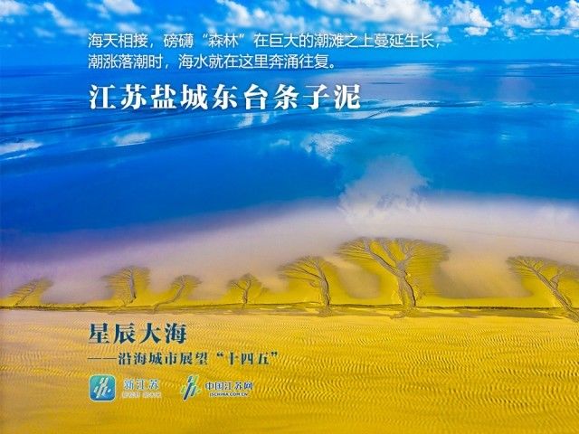 大海|新时代，这是江苏大海寄给你的蓝色明信片