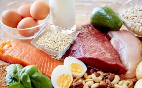 吃什么补蛋白质最快?