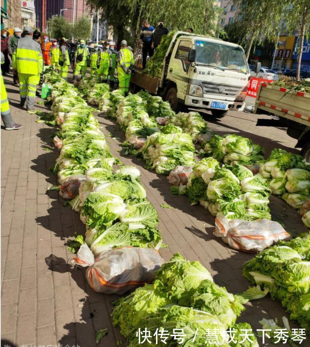 东北|当东北人开始囤菜,阵仗可以有多大南方人场面堪比部队站军姿